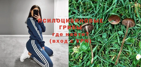 PSILOCYBIN Белая Калитва