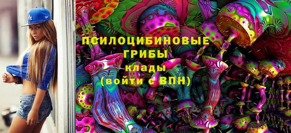 PSILOCYBIN Белая Калитва