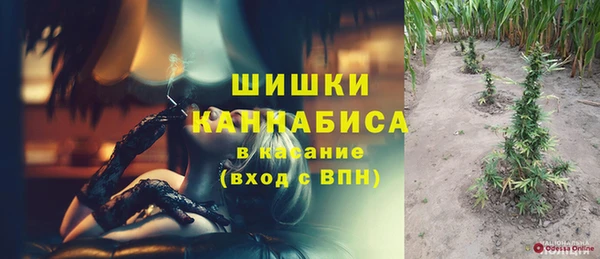 PSILOCYBIN Белая Калитва