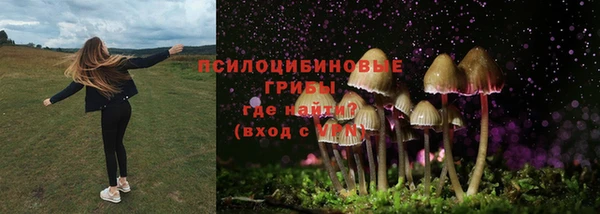 PSILOCYBIN Белая Калитва