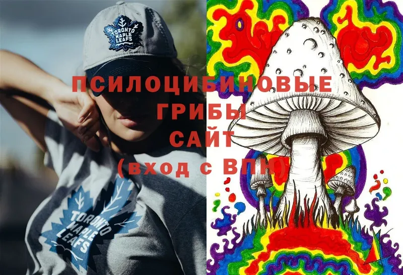 где купить   Кандалакша  Псилоцибиновые грибы Psilocybe 