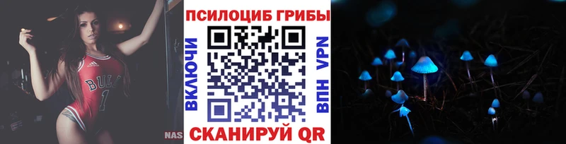 ссылка на мегу ссылка  цены наркотик  Кандалакша  Псилоцибиновые грибы Cubensis 