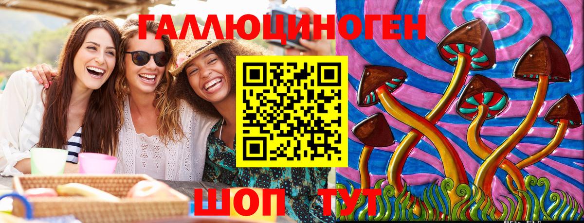 Кандалакша  где найти   Вход с VPN  Псилоцибиновые грибы Magic Shrooms 